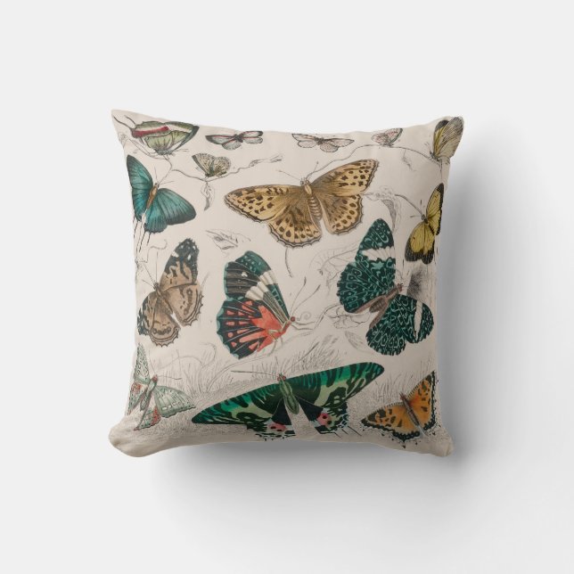 Coussin Illustration de papillon antique : 1820 Orfèvre (Recto)