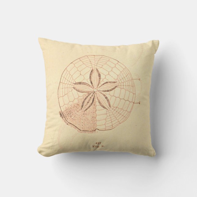 Coussin Illustration de plage de sable vintage Dollar (Recto)