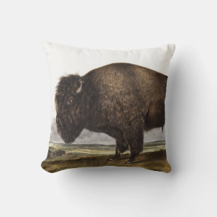 Coussin Illustration du bison américain (Bos Americanus)