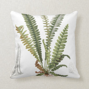 Coussin Illustration Vintage de Fern, Plante scientifique