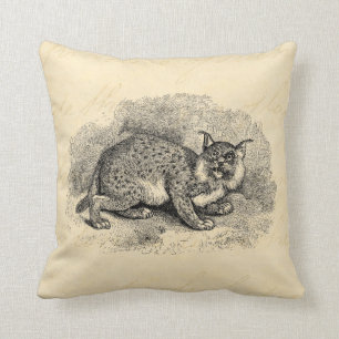 Coussin Illustration vintage de Lynx de chat de Bob de