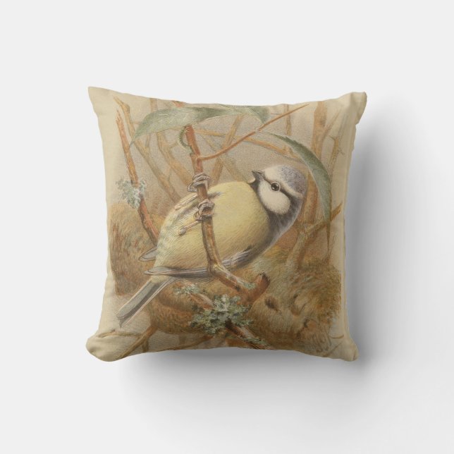 Coussin Illustration vintage de Mésange bleue (Recto)
