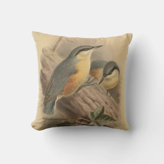Coussin Illustration vintage de Nuthatch (Recto)