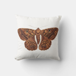 Coussin Illustration vintage du papillon Brown