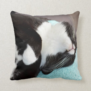 Coussin image de minou de vue de menton de chat de smoking