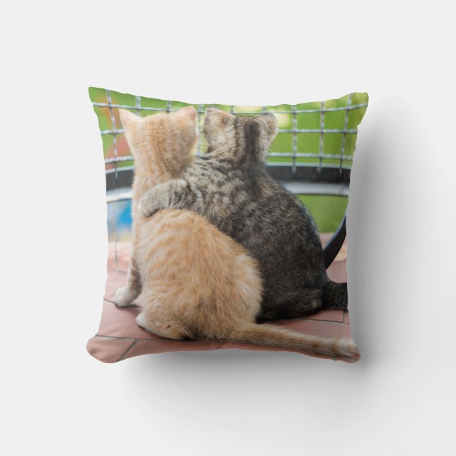 Coussin Images de Getty | deux chatons sur un balcon (Recto)