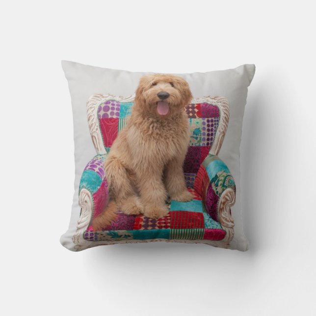 Coussin Images de Getty | Goldendoodle mignon (Recto)
