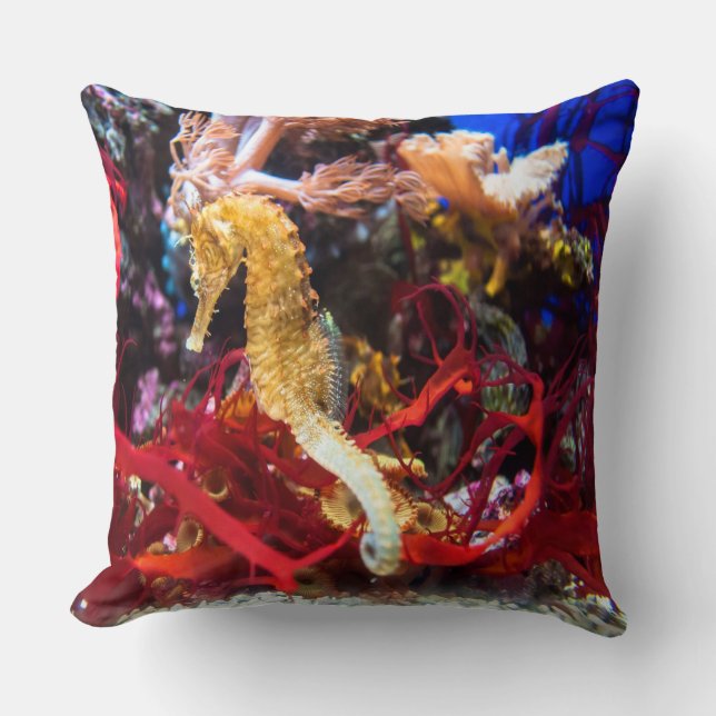 Coussin Imaginaire Seahorse (Recto)