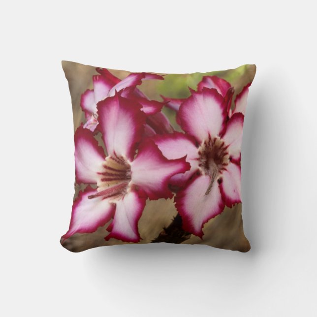Coussin Impala Lily (Adenium Multiflorum), Kruger (Recto)