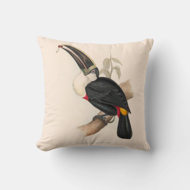 Coussin Impression du Toucan de Cuvier : Oiseau Tropical V (Recto)