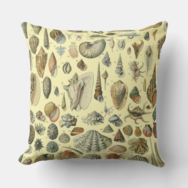 Coussin Impression vintage de coquillages d'Adolphe Millot (Recto)