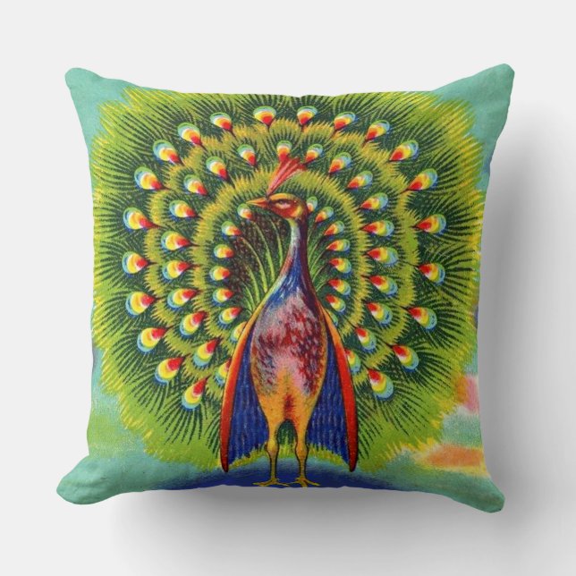 Coussin imprimé de paon amusant (Recto)