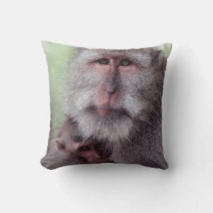 Coussin Indonésie, Bali, Ubud, Macaque à longue queue