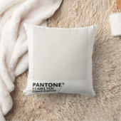 Coussin Inpiration pantone 2026 (Couverture)