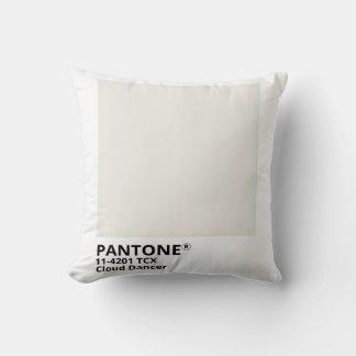 Coussin Inpiration pantone 2026