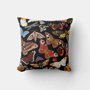 Coussin Insecte un motif transparent