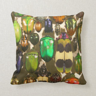 Coussin Insectes colorées Écorces et insectes