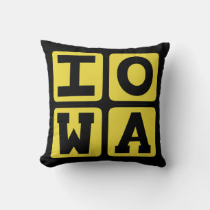 Coussin IOWA State Iowan Hawkeye Des Moines Cedar Rapids