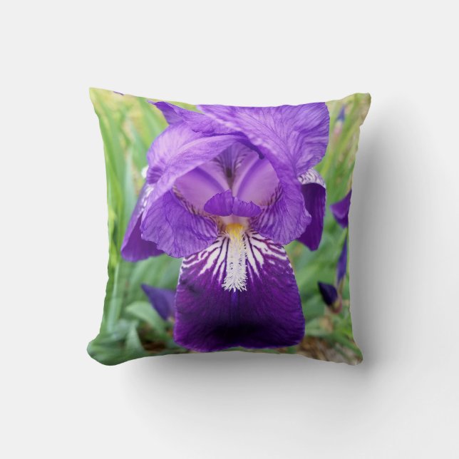 Coussin Iris pourpre (Recto)