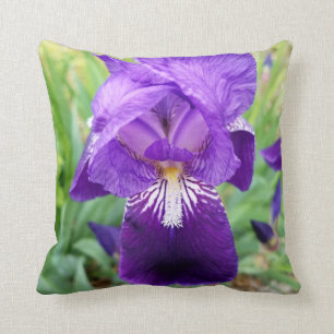 Coussin Iris pourpre