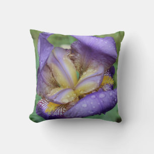 Coussin Iris Violet (Iris Germanica)