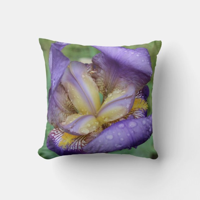 Coussin Iris Violet (Iris Germanica) (Recto)