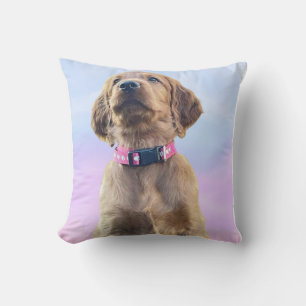 Coussin Irlandais Setter Femme Chiot