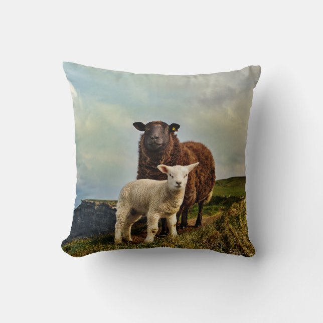 Coussin Irlande, moutons, (Recto)
