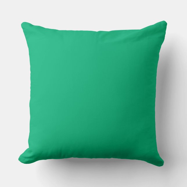 Coussin Jade Green (Recto)