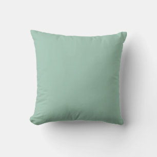 Coussin jade grise