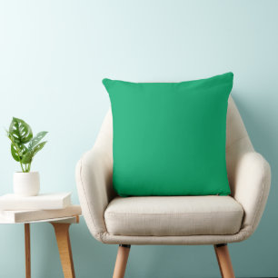 Coussin Jade Throw Pillows