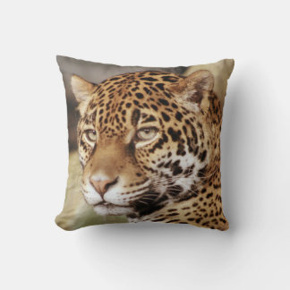 Coussin Jaguar