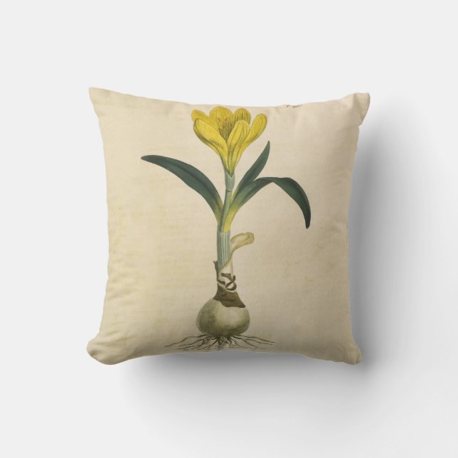 Coussin Jardin botanique de tulipe Amaryllis Fleur (Recto)