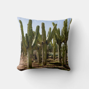Coussin Jardin de cactus, paysage désertique tropical.