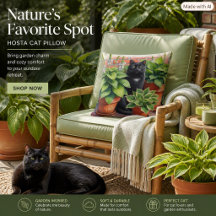 Jardin de chats noirs pour patio extérieur