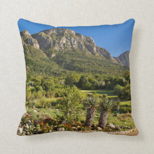 Coussin Jardins botaniques de Kirstenbosch, Cap