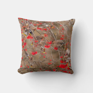Coussin Jaseurs boréaux se nourrissant de sorbiers des ois