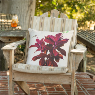 Coussin Jatropha Plante en rouge profond