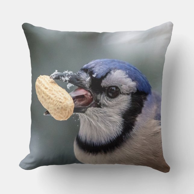 Coussin Jay bleu avec arachide (Recto)