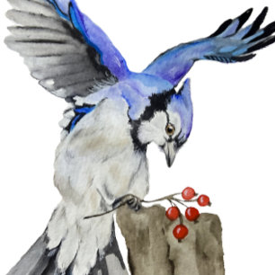 Coussin Jay bleu d'oiseau de la forêt