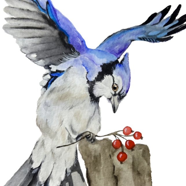 Coussin Jay bleu d'oiseau de la forêt (Créateur téléchargé)