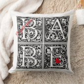 Coussin Je t'ai "BABE" (Couverture)