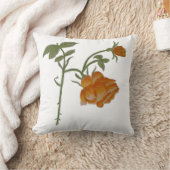 Coussin Jetable Réalisé avec des Crayons Aquarella (Couverture)