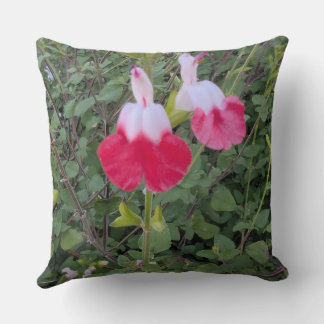Coussin jeté - série Florale - Sauge Lèvres chaude