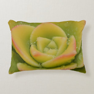 Coussin jeté succulent Décoration verte botaniqu
