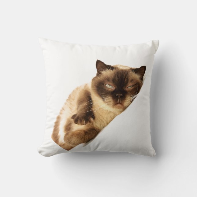 Coussin Jeter l'oreiller 16 po x 16 po (Recto)