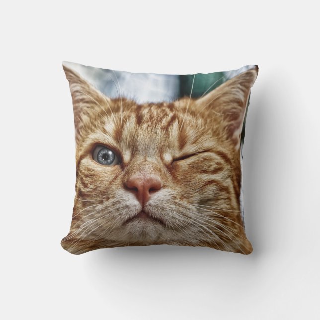 Coussin Jeter l'oreiller 16 po x 16 po (Recto)