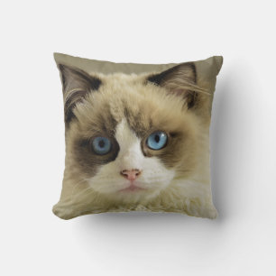 Coussin Jeter l'oreiller 16 po x 16 po