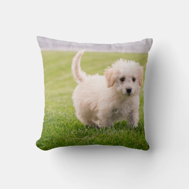 Coussin Jeter l'oreiller 16 po x 16 po (Recto)