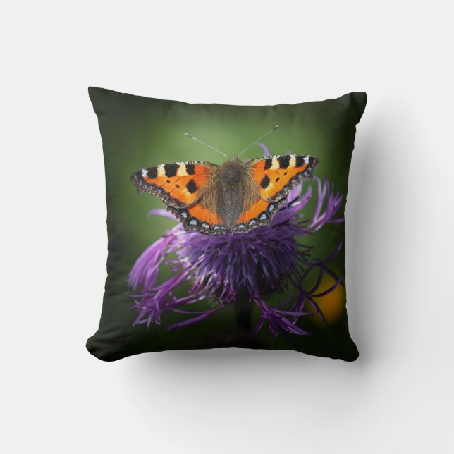 Coussin Jeter l'oreiller 16 po x 16 po (Recto)